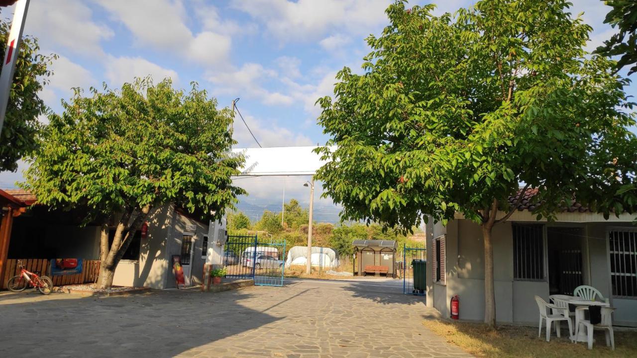 Camping Mitikas And Bungalows Pláka Litókhoro Eksteriør bilde